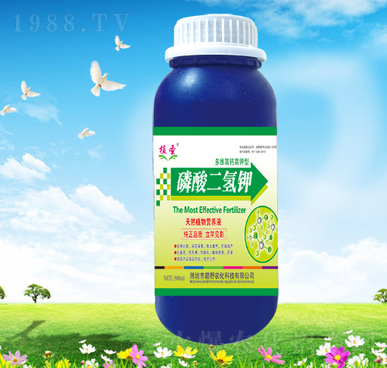 ��������-ֲʥ-��Ұ�r(n��ng)��