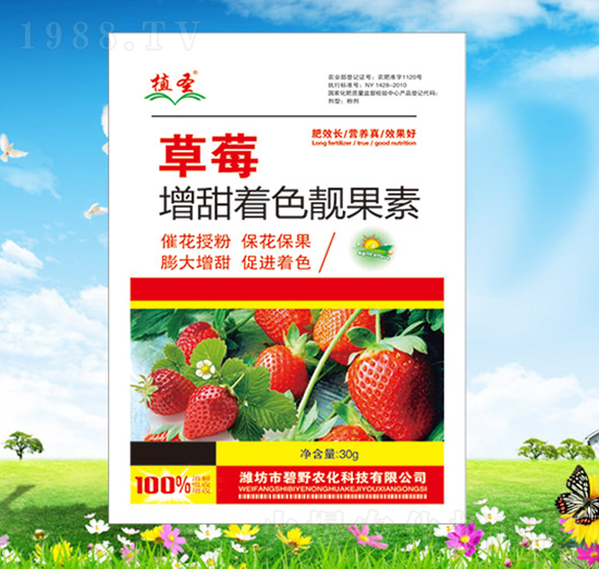 ��ݮ������ɫ�n����-ֲʥ-��Ұ�r(n��ng)��