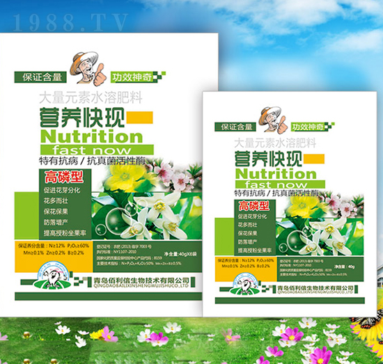 �I(y��ng)�B(y��ng)��F(xi��n)�������ͣ�-��Ұ�r(n��ng)��