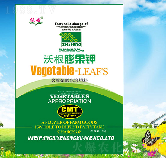 �ָ�����-��Ұ�r��