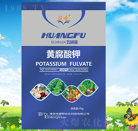 �S�����-ֲʥ-��Ұ�r��