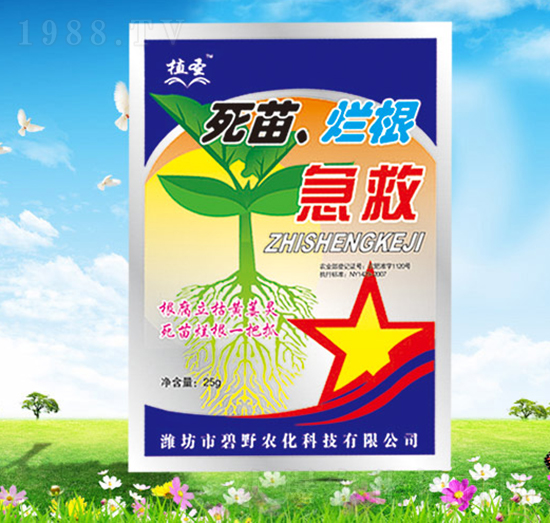 ���砀������-ֲʥ-��Ұ�r(n��ng)��