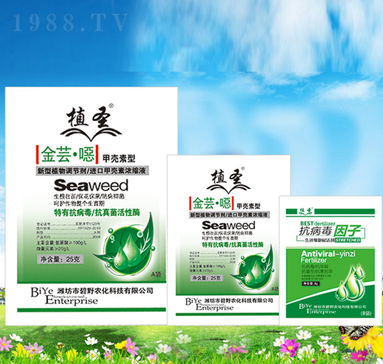 ���|���f-1+1-ֲʥ-��Ұ�r��