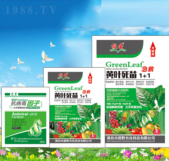 �S�~����1+1-ֲʥ-��Ұ�r(n��ng)��