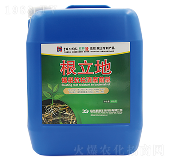 ���������帯����-������-�¸�����