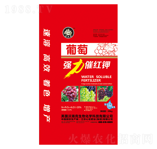 ���я����߼t�-�Č����F