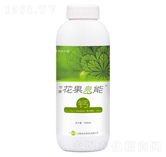 ��������Ȫ���}-�������