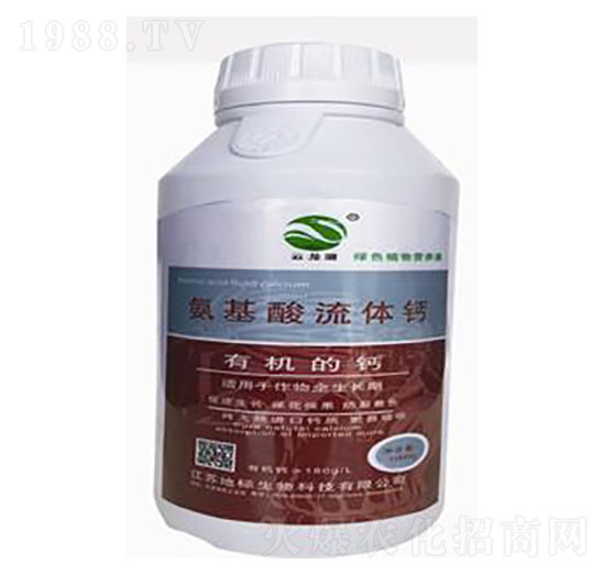 ���������w�}-�ؘ�����