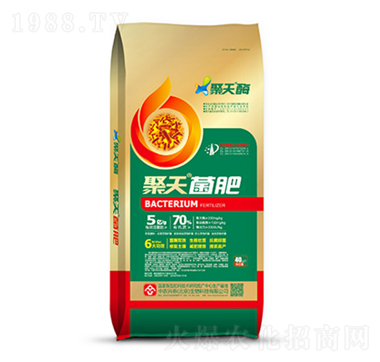 �������-���r(n��ng)�d̩