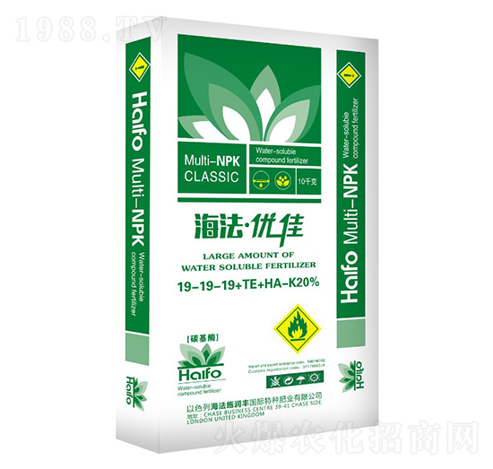 ������(y��u)��19-19-19+TE+HA-�՝�(r��n)�S