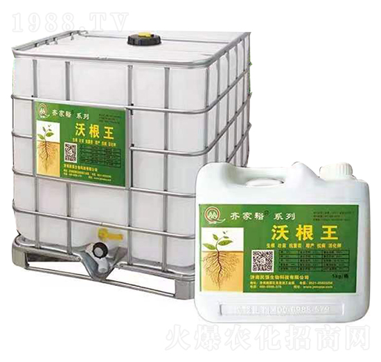 �ָ���-�R��ԣ-��(qi��ng)����