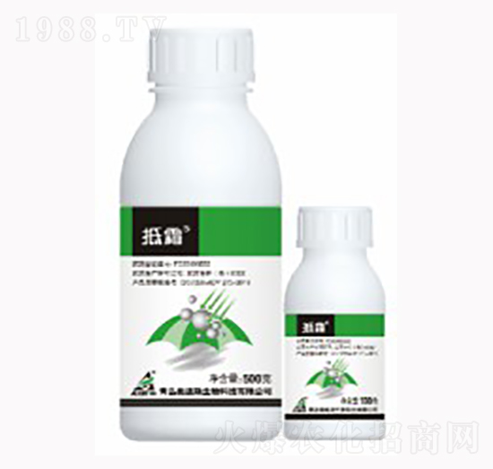 40%�����Ѿ���-��˪-������