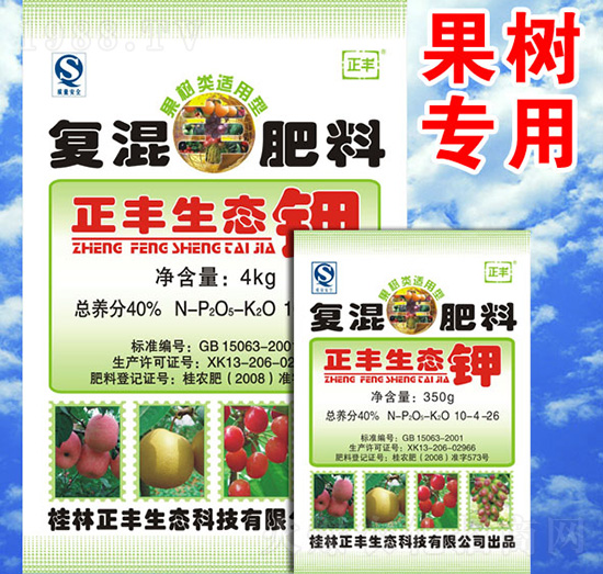 ������m���͏ͻ����10-4-26-���S���B(t��i)