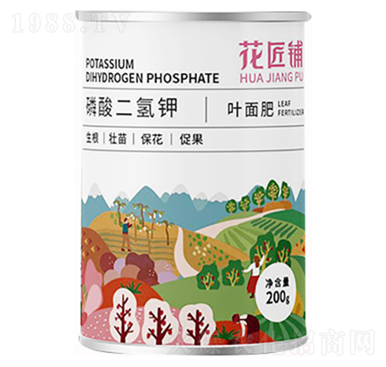 ��������-�����-���V