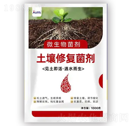 �����ޏ;���-������