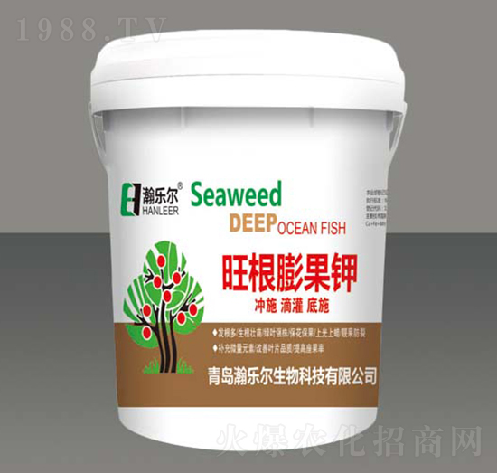 ��������-嫘���