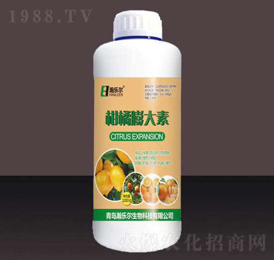 ���������-嫘�(l��)��