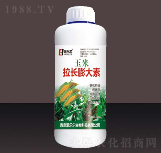 �������L�����-嫘���