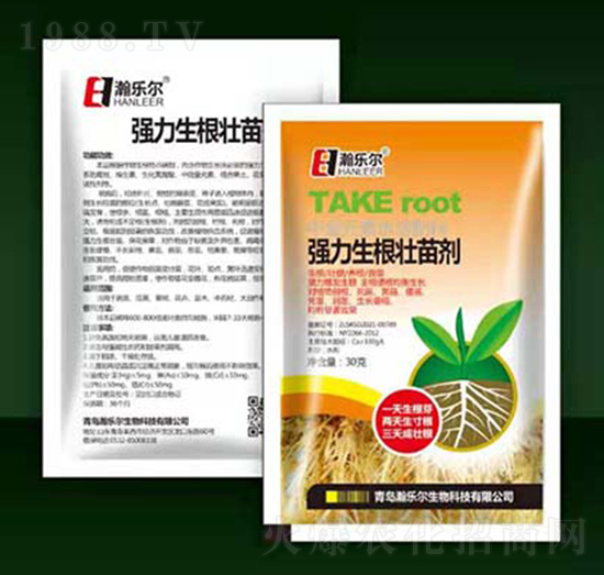 30�ˏ����������焩-嫘���