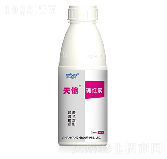 ��������t��-Сħ��