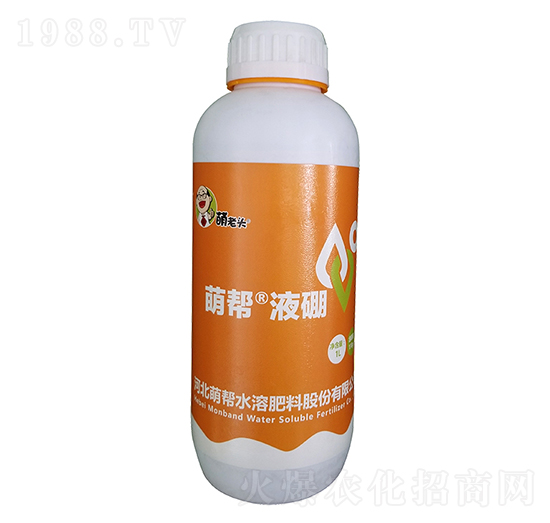 �Ȏ͡�Һ��-�Ȏ�