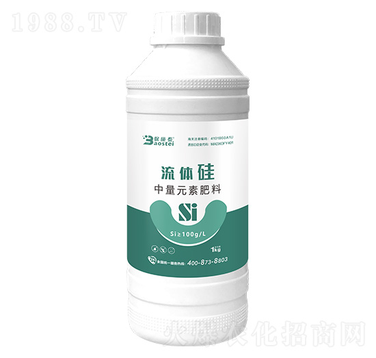 ���w��-��ʩ̩