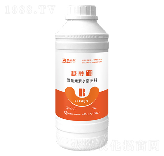 �Ǵ���-��ʩ̩