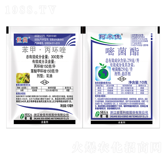 ����+���׼�-����