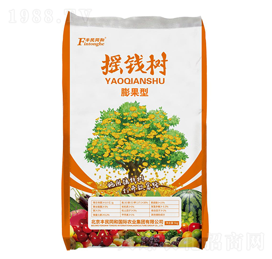 搖錢樹膨果型-和潤農業(yè)