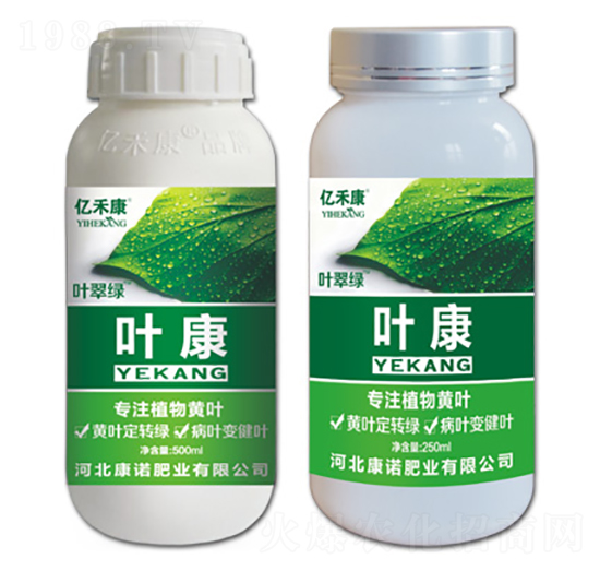 專注植物黃葉-葉康-康諾肥業(yè)