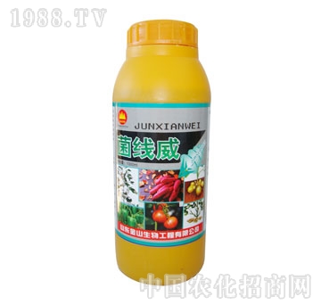 ��ɽ����-������