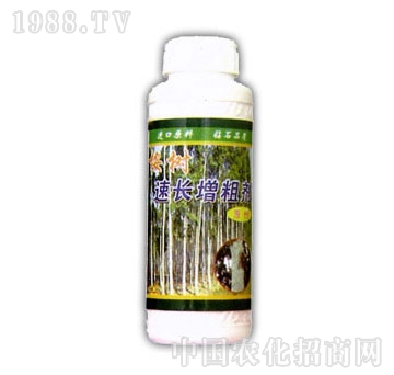 ��ɽ����-������L����