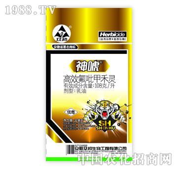 ����-��-��Ч������