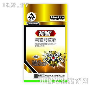 ����-��-��Ч������