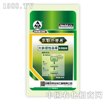 ����-���g�����s�݌���