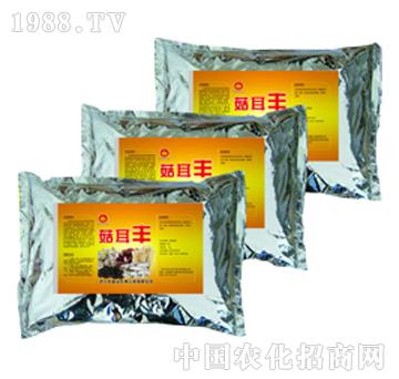 ��ɽ����-�����S