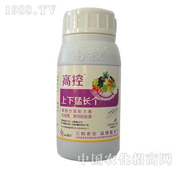 �߿�-�������L(zh��ng)��(g��)-�����r(n��ng)��