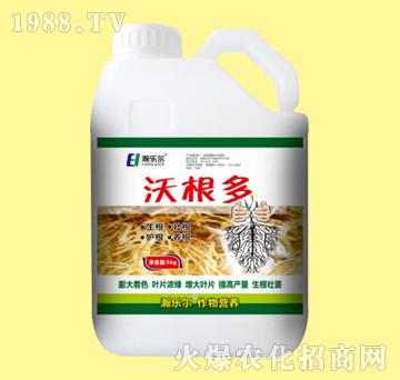 �ָ���-嫘���