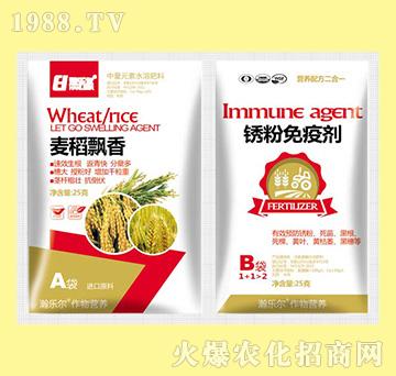 �����h��+�P�����߄�-