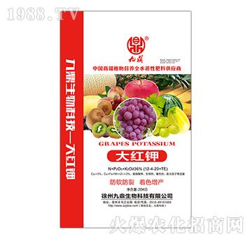 ��t�12-4-20+TE-�Ŷ�-�ذ�Ȫ