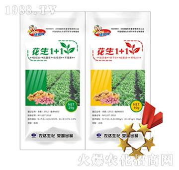 ����1+1-�r(n��ng)�_(d��)����