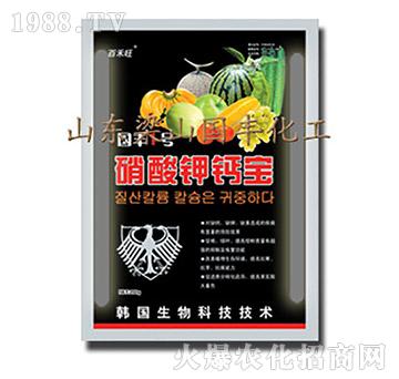 ������}��-��ɽ��(gu��)�S