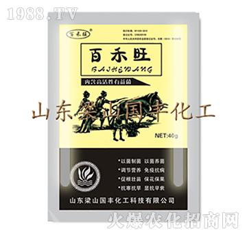 �ٺ���������-��ɽ��(gu��)�S