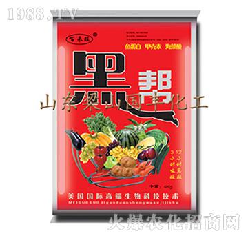 �ڎ�-��ɽ��(gu��)�S