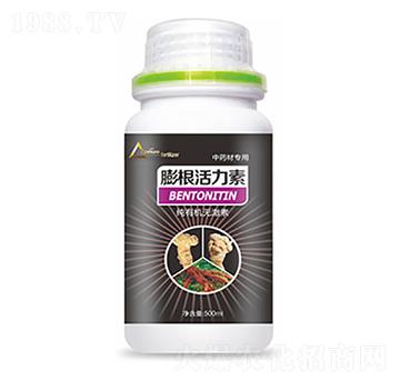 ��ˎ�Č�(zhu��n)�����������-