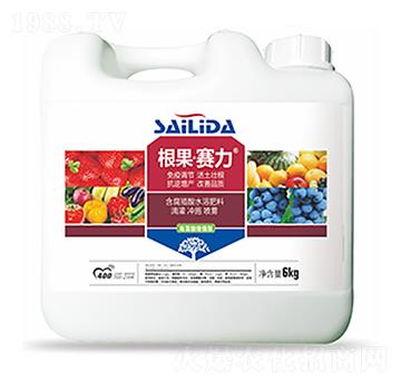 ����ِ��-�����Ƽ�