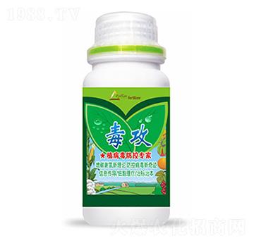 ����-�����Ƽ�