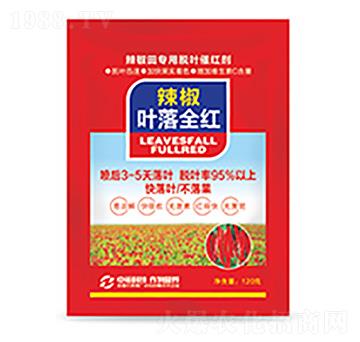 �����~��ȫ�t-�����Ƽ�