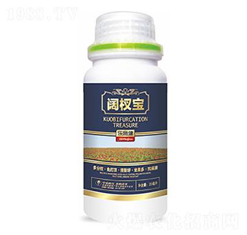 �辌�-�����Ƽ�