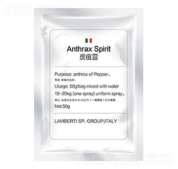 ̿���`-�����Ƽ�